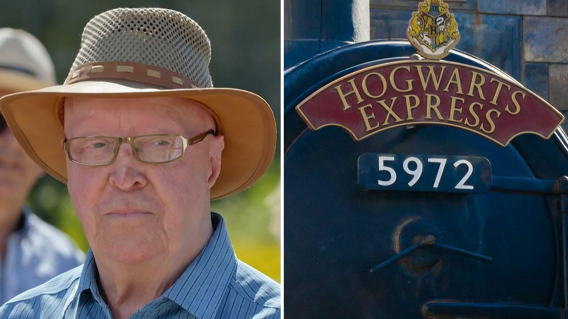 Antiques Roadshow guest crushed by 'devastating' Harry Potter memorabilia news