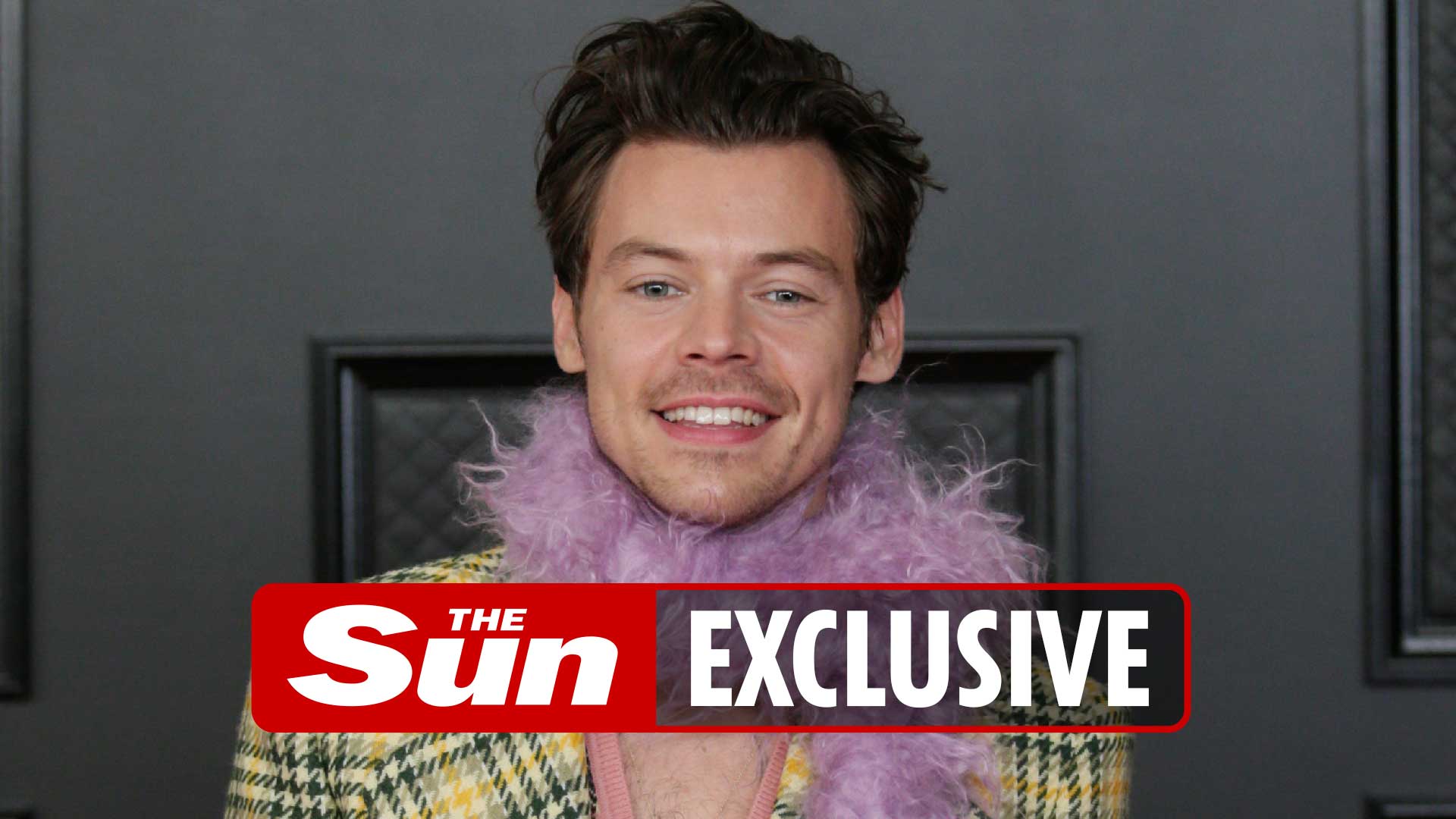 Harry Styles boasts of cocaine, drinking & wild sex on new album Harry's House