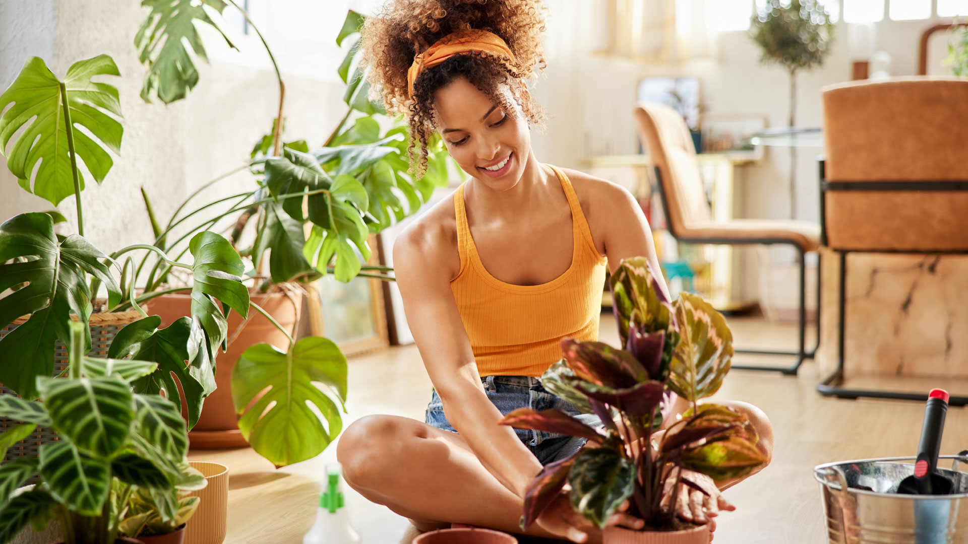 How to stop your house plants dying & why a pretty pot could be killing them