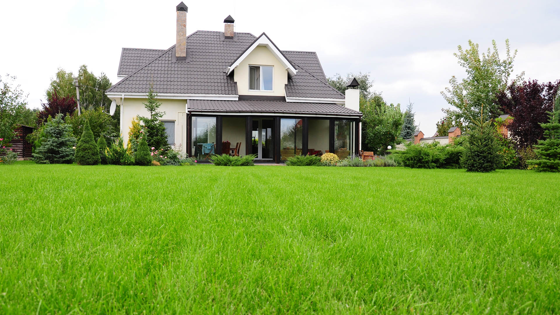 I’m a landscape expert – 5 easy things to do for a perfect lawn