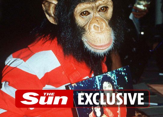 Michael Jackson ditched chimp Bubbles 'when he got old' driving him to suicide