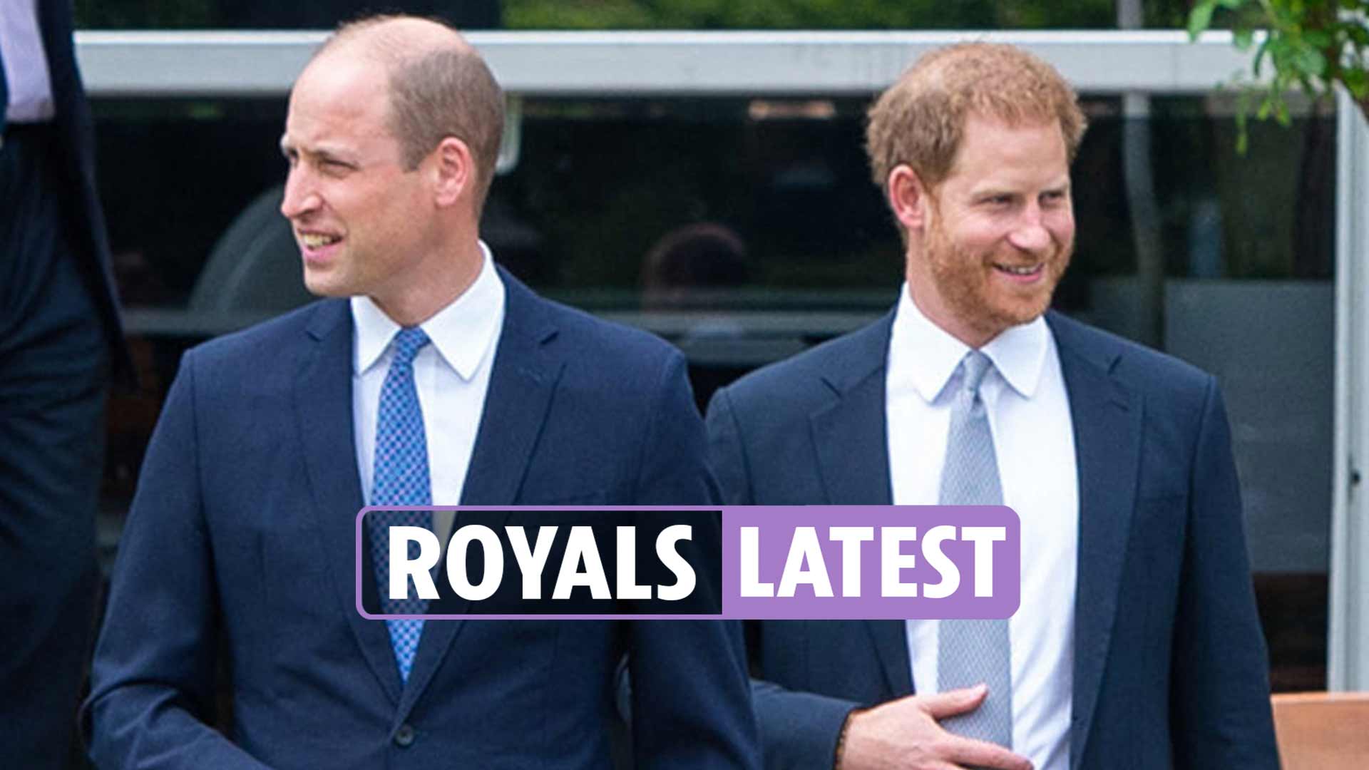 Prince William thought Harry had 'lost the plot' after 'nonsense' claims
