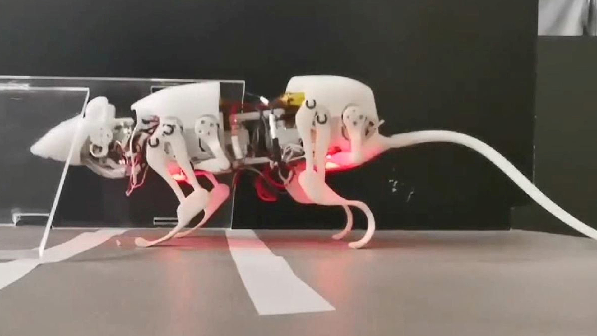 Robot RATS may soon be unleashed to search for survivors at disaster sites