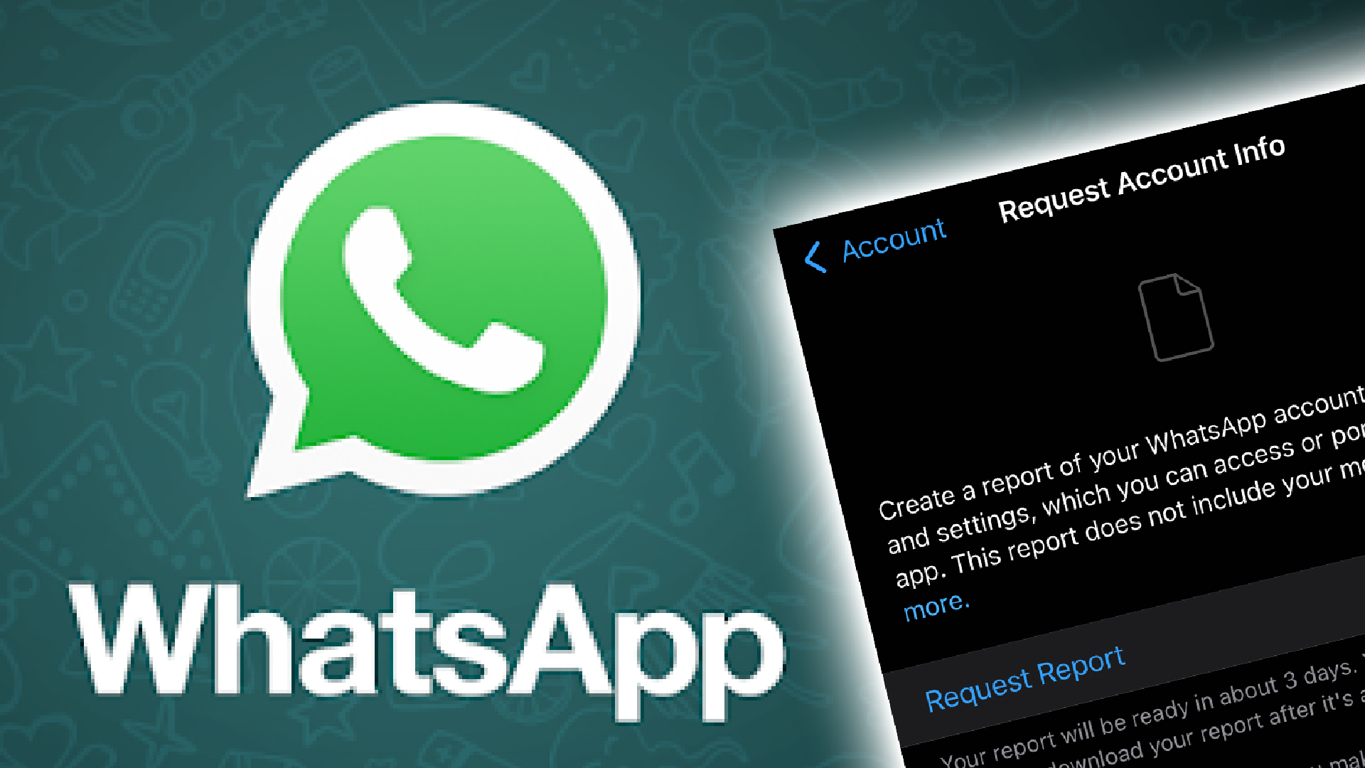 See secret WhatsApp report about you – and if you agreed to controversial rule
