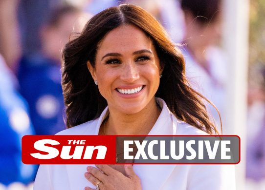 Meghan Markle trying to find new TV network for binned Netflix cartoon Pearl