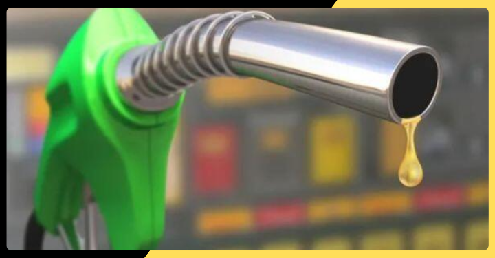 Can Older Vehicles Safely Use Biofuel-Blended Petrol?