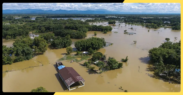 From Survival to Hope: The Long Road to Recovery After Assam’s Worst Floods in Years